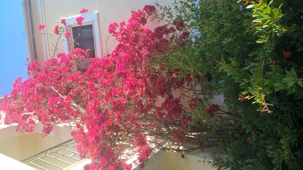 Salvanos Residence Ipsos Ngoại thất bức ảnh